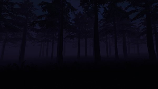 Фон гача лайф лес ночью