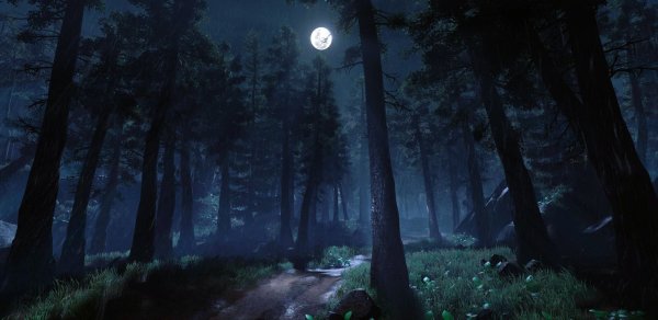 Лунная ночь в лесу