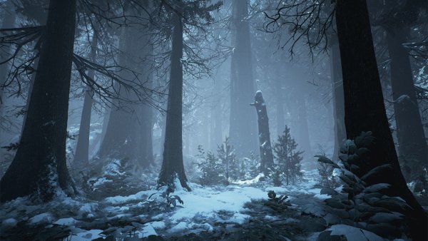 Фон темный лес зима