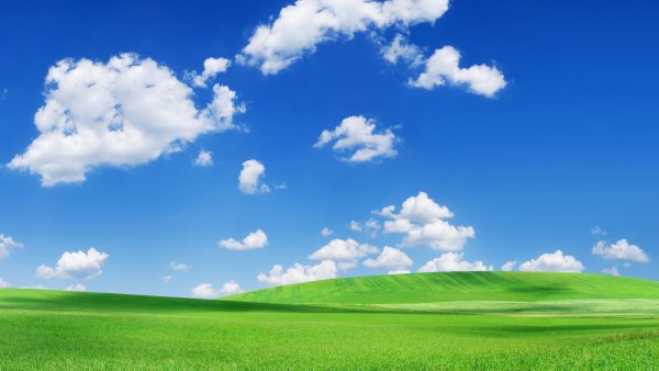 Фон трава и голубое небо