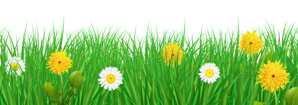 Полянка с травкой и цветочками