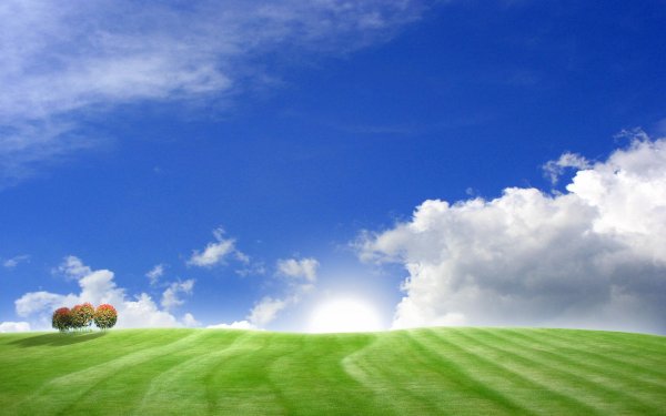 Зеленая Поляна с небом