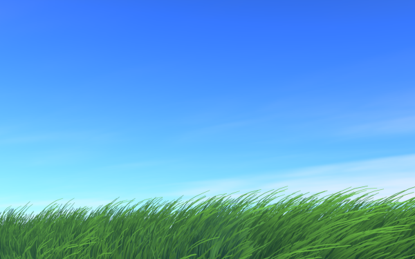 Трава и небо