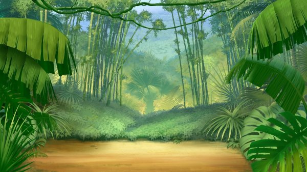 Фон тропический лес