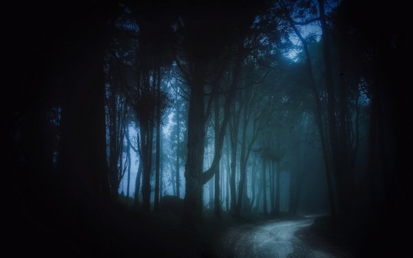 Барнс Джулия - ночной лес
