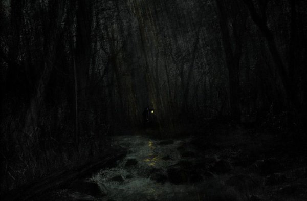 Тропинка в лесу ночью