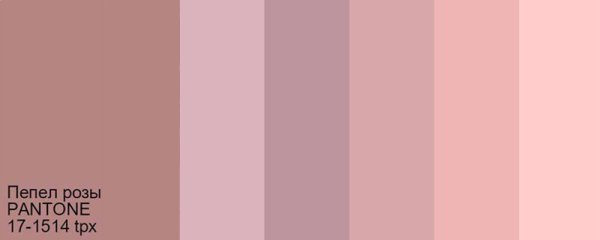 Пыльный розовый цвет