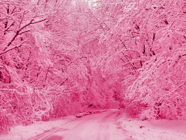 Зимний пейзаж в розовых тонах