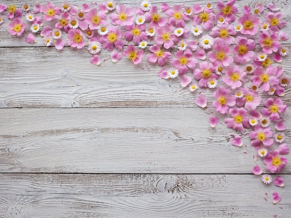 Фотофон доски с цветами