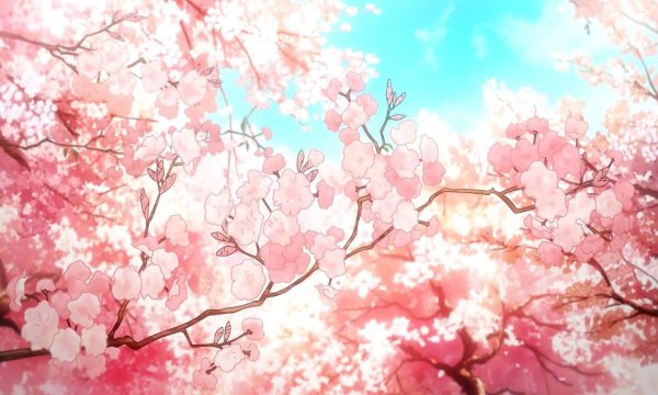 Фон цветков сакуры