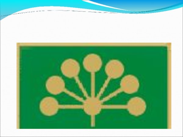 Курай на флаге Башкортостана