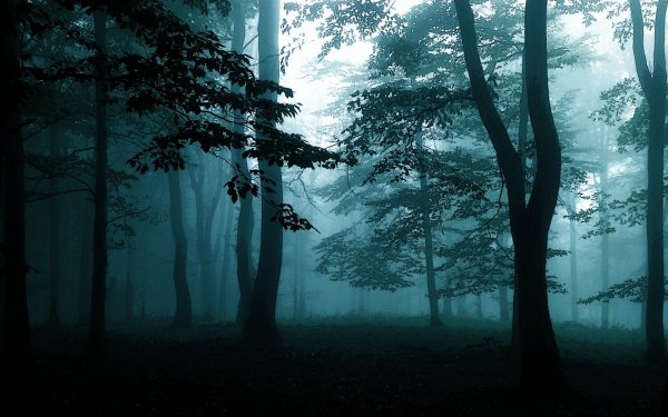 Страшный лес