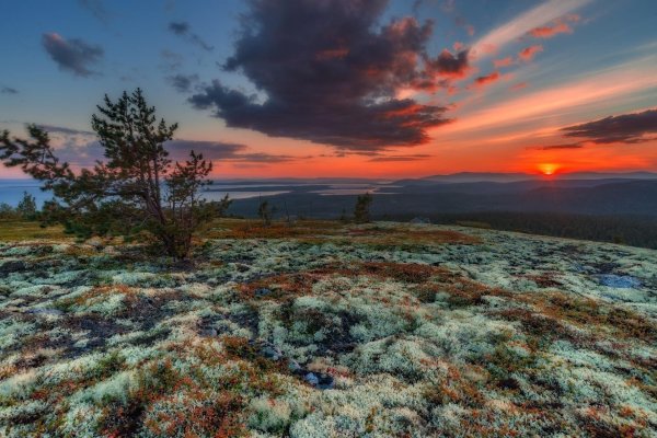 Лето Мурманск тундра