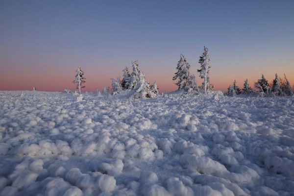 Снежный Покров тундры России