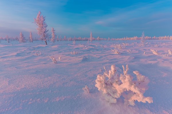 Тундра Норильск зима