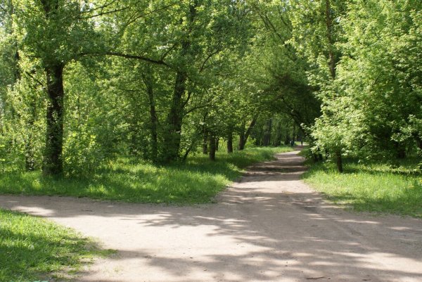 Севастопольский парк Минск