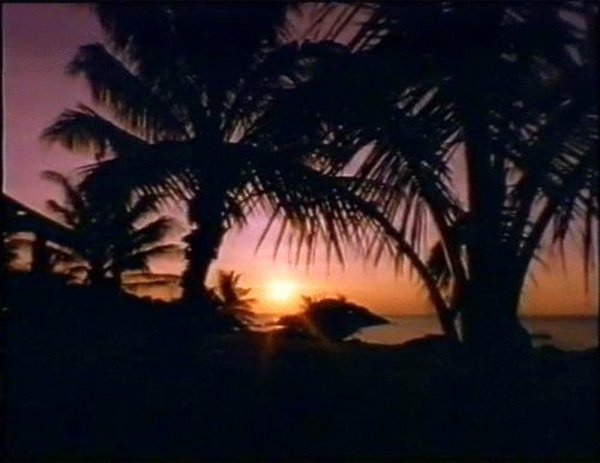 Дикие пальмы VHS