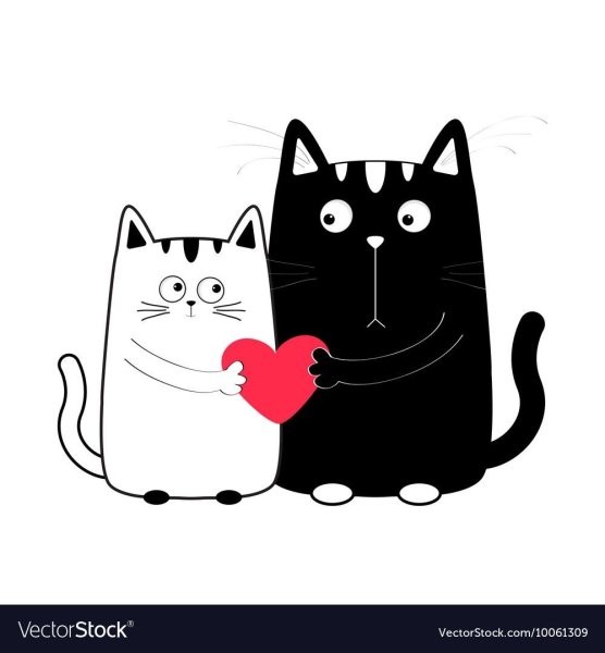 Влюбленный кот рисунок
