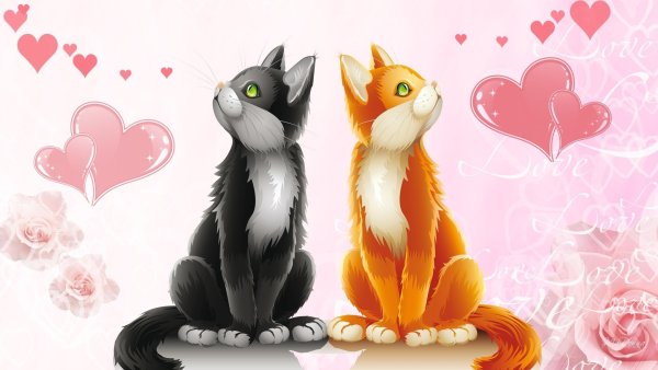 Влюбленные коты