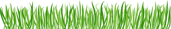 Полоса травы на прозрачном фоне