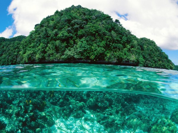 Коралловые острова Палау