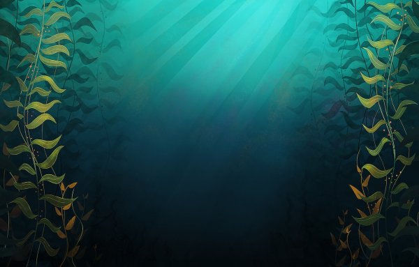 Морское дно с водорослями