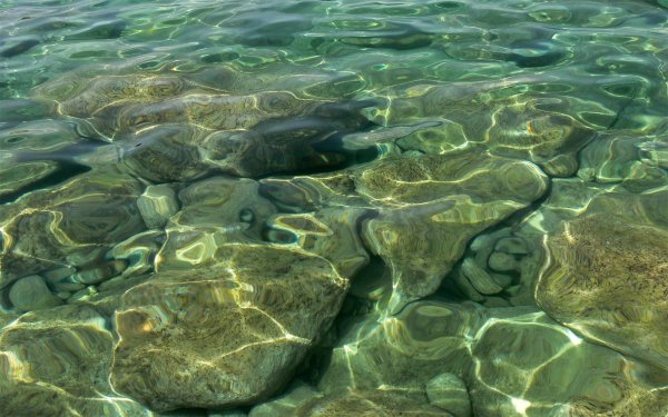 Прозрачная вода море