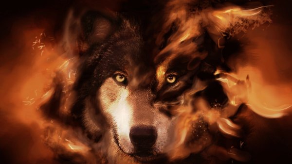 Огненный волк красивые