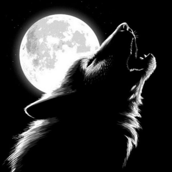 Фон волк воет на луну