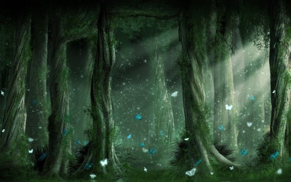 Волшебный лес Гарри Поттер