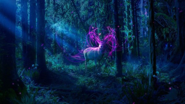 Таинственный сказочный лес