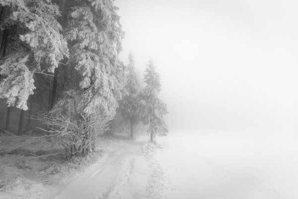 Серый зимний пейзаж