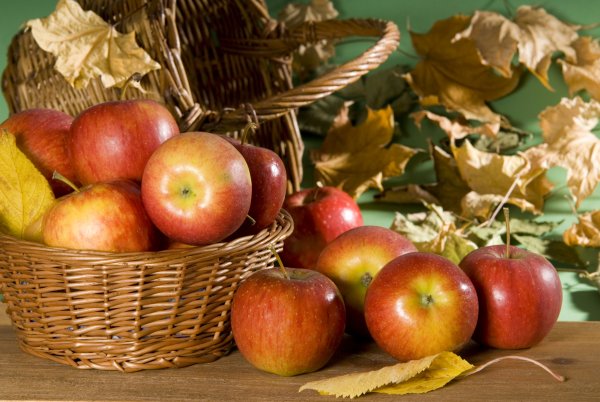 Осенний фон с яблоками