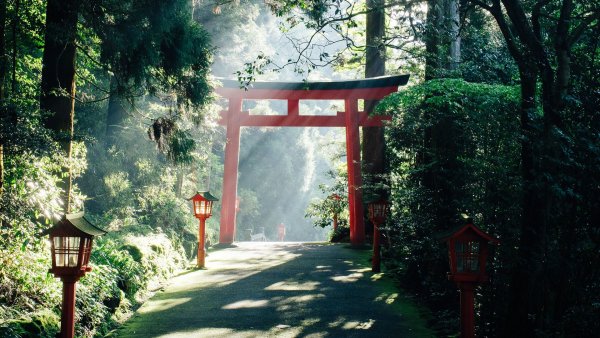 Япония ворота тории лес