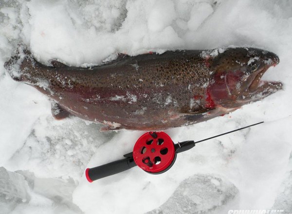 Снасти для зимней рыбалки на форель