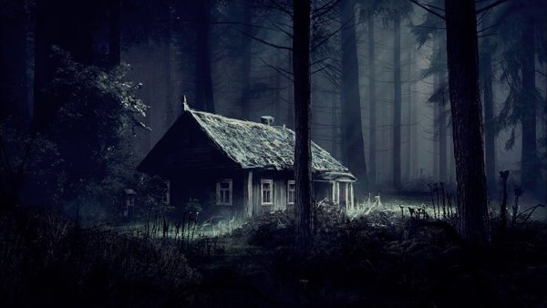 Мрачный домик в лесу