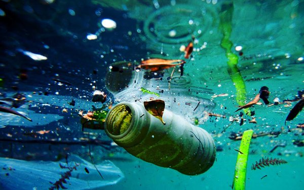 Загрязненные мировой океан