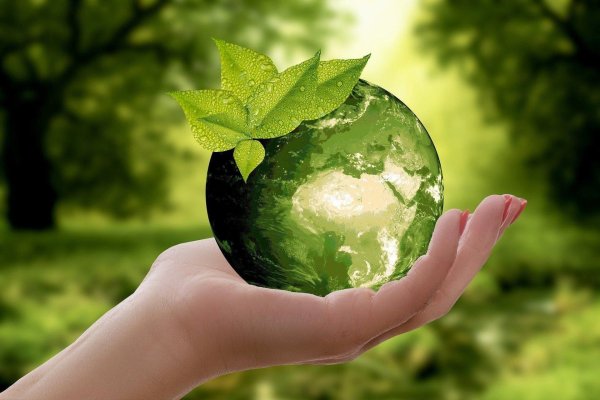 Защита экологии и окружающей среды