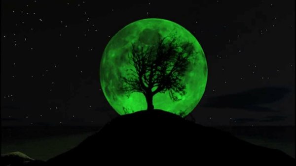 Луна светло зеленый