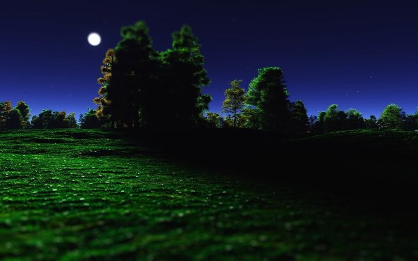 Природа ночью