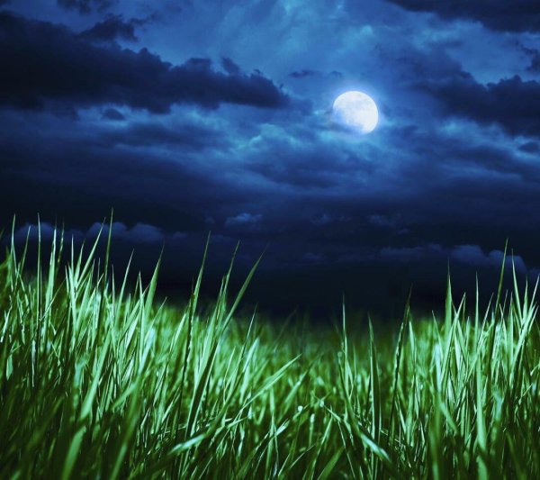 Ночное поле с луной