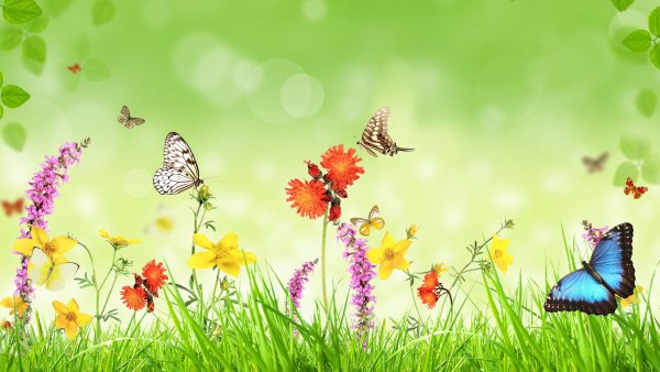 Фон зеленого цвета с бабочками