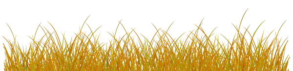 Осенняя трава на прозрачном фоне