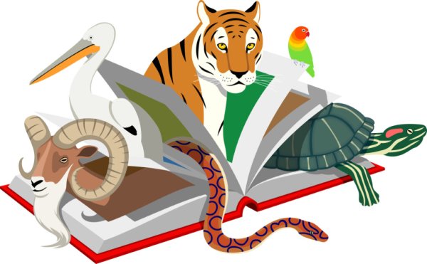Животные с книгой на прозрачном фоне
