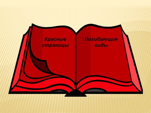 Изображение красной книги
