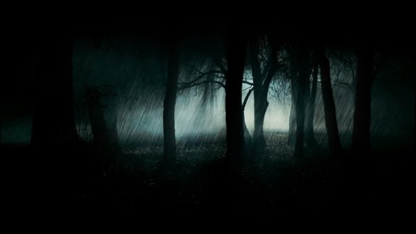 Страшный темный лес ночью