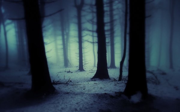 Темный лес гача