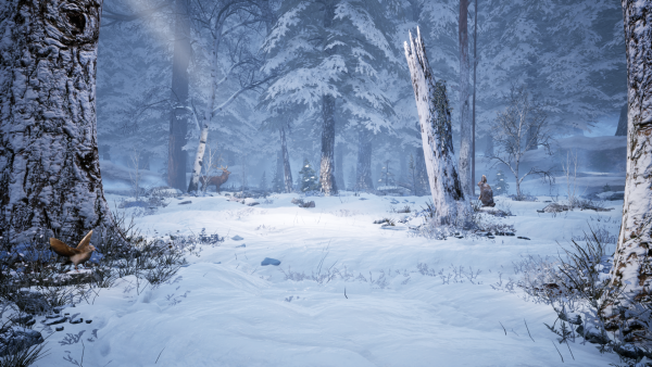 Ведьмак 3 зимний лес