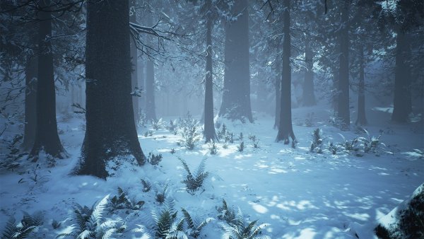Зимний лес фэнтези