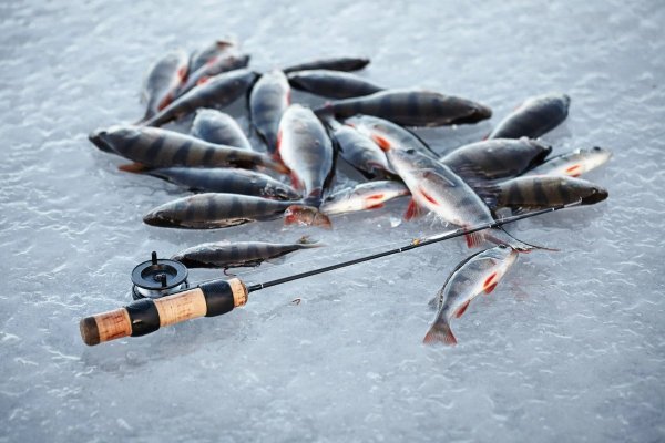 Фон зима рыбалка